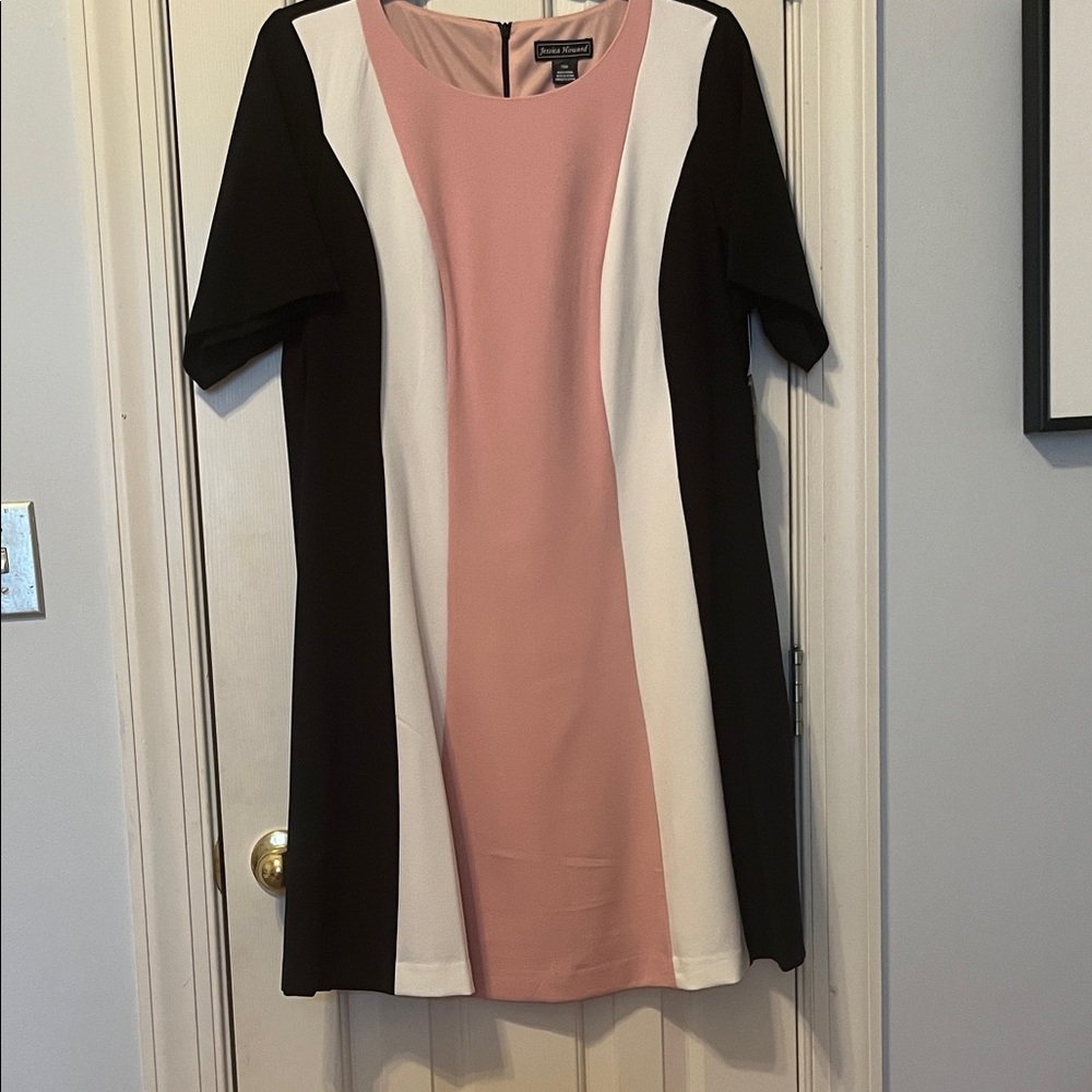 Jessica Howard Pink, Black, and White Mini Dress